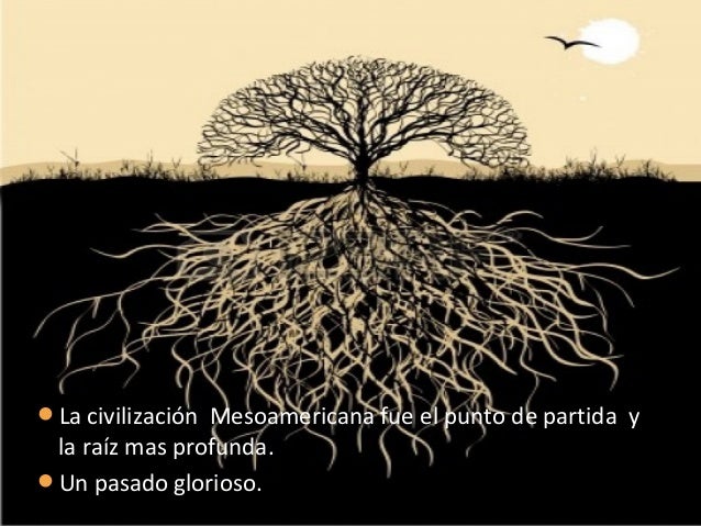 Guillermo Bonfil Batalla - la enciclopedia libre